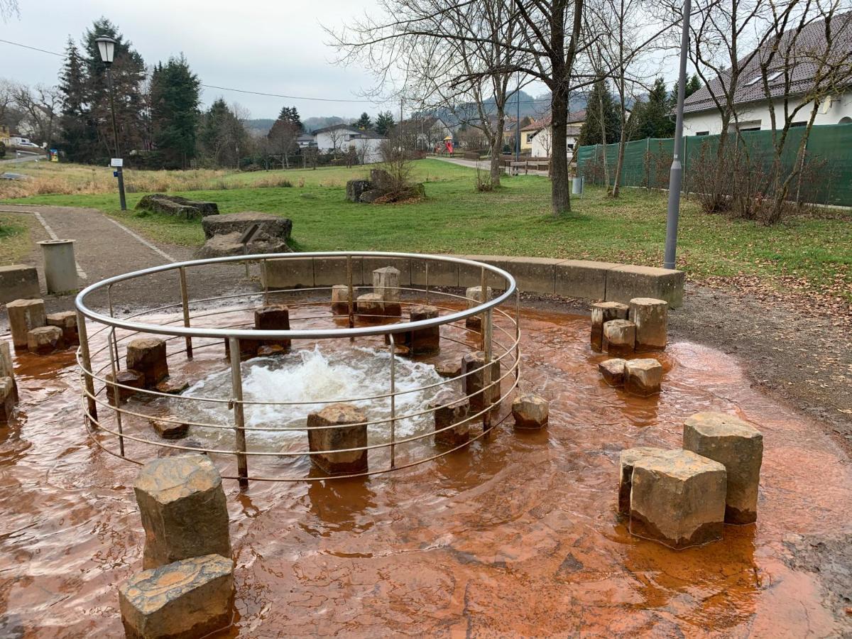 Ferienhaus Backesgarten Fuer 22 Personen Neichen エクステリア 写真