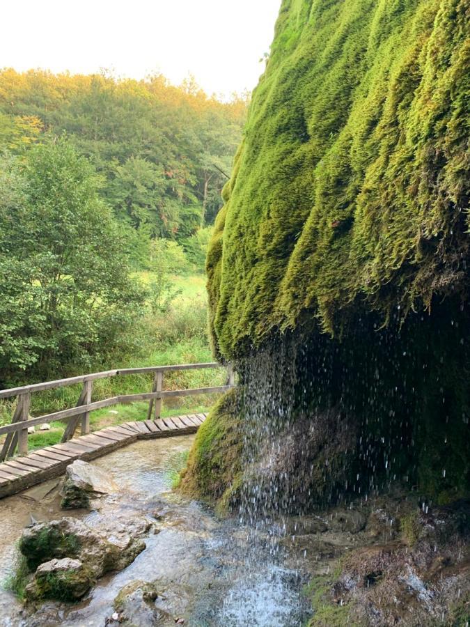 Ferienhaus Backesgarten Fuer 22 Personen Neichen エクステリア 写真