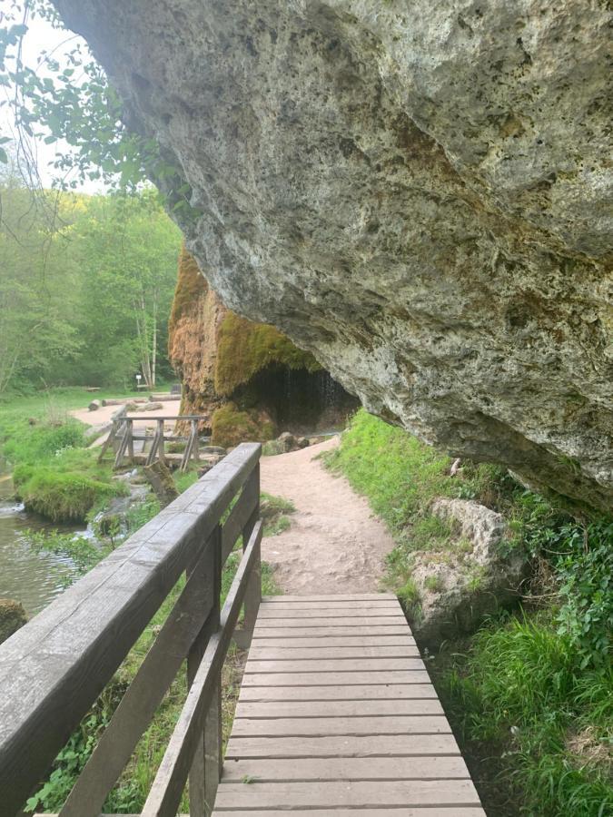 Ferienhaus Backesgarten Fuer 22 Personen Neichen エクステリア 写真